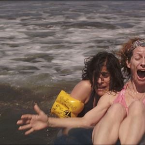 Foto Los insólitos peces gato