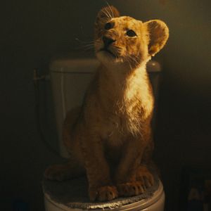 Foto King: Regreso A Casa