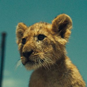 Foto King: Regreso A Casa