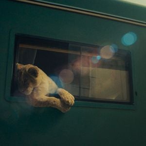 Foto King: Regreso A Casa