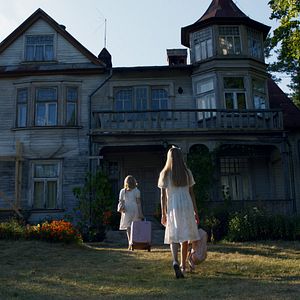 Foto Cría siniestra