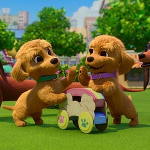 Foto Pretzel y sus cachorros