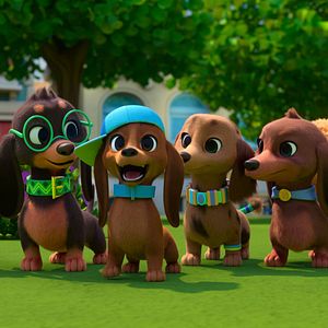 Foto Pretzel y sus cachorros