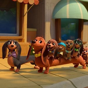 Foto Pretzel y sus cachorros