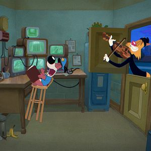 Foto El gato ladrón