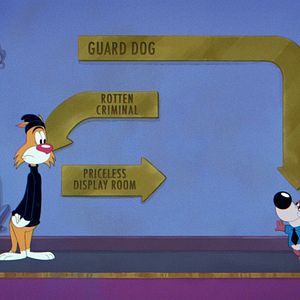 Foto El gato ladrón