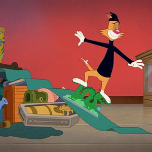 Foto El gato ladrón