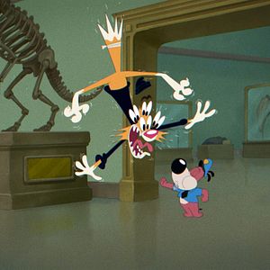 Foto El gato ladrón