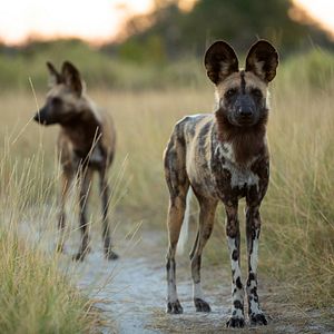 Foto El paraíso que sobrevive: Un legado familiar