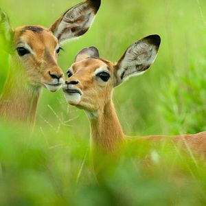 Foto El paraíso que sobrevive: Un legado familiar