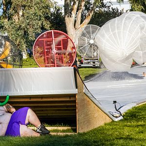 Foto Jackass por siempre