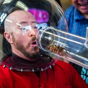 Foto Jackass por siempre