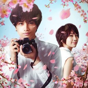 Foto Efímera como la flor del cerezo