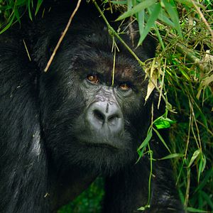 Foto Nuestros grandiosos parques nacionales