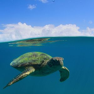 Foto Nuestros grandiosos parques nacionales