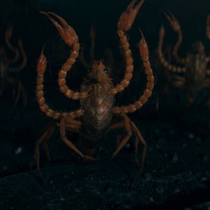 Foto Animales Fantásticos: Los secretos de Dumbledore