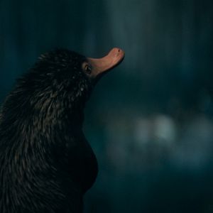 Foto Animales Fantásticos: Los secretos de Dumbledore