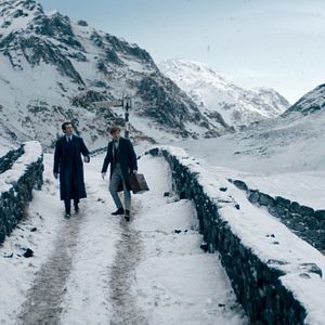 Foto Animales Fantásticos: Los secretos de Dumbledore