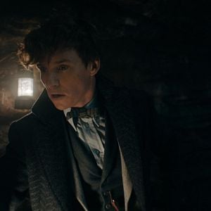 Foto Animales Fantásticos: Los secretos de Dumbledore