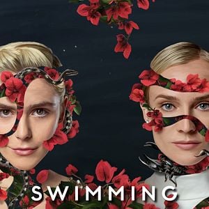 Foto Nadando con Tiburones