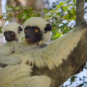 Foto Nuestros grandiosos parques nacionales