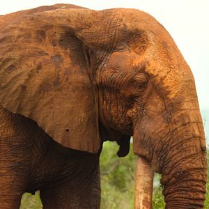 Foto Nuestros grandiosos parques nacionales