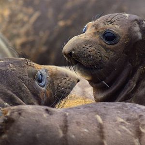 Foto Nuestros grandiosos parques nacionales