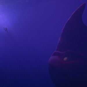 Foto Monstruo del mar