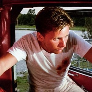 Foto Ocho días de terror