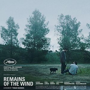 Foto Remains of the Wind