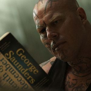 Foto La cabeza de la araña