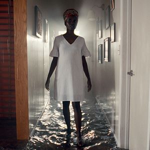 Foto Árboles de paz