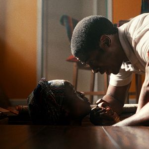 Foto Árboles de paz