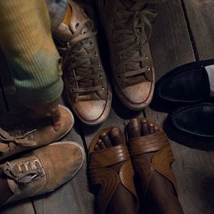 Foto Árboles de paz