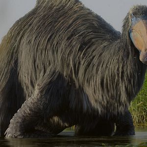 Foto Planeta prehistórico