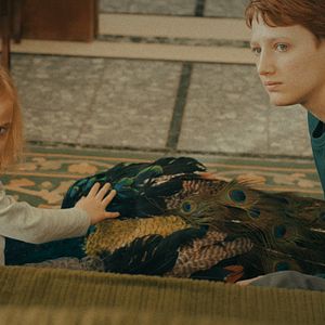 Foto Il paradiso del pavone