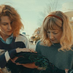 Foto Il paradiso del pavone