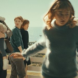 Foto Il paradiso del pavone