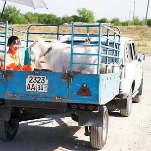 Foto To the Ends of the Earth