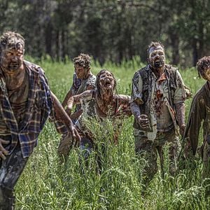 Foto Wyrmwood: Apocalypse