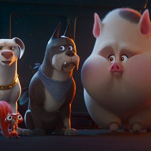 Foto DC Liga de Súper-Mascotas