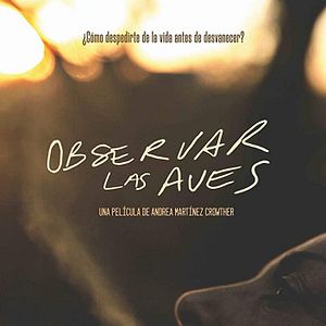 Foto Observar las aves