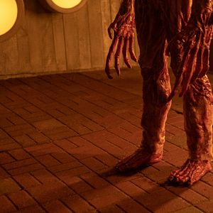 Foto El gabinete de curiosidades de Guillermo del Toro