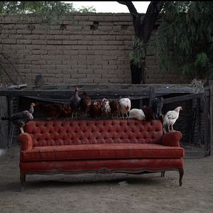 Foto Estación catorce