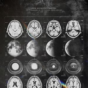 Foto Something in the Dirt