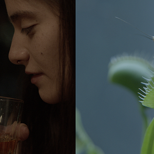 Foto 50 (o dos ballenas se encuentran en la playa)