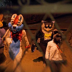 Foto Crímenes online