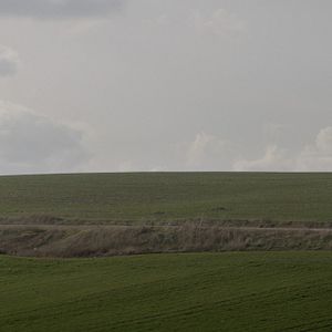 Foto Anadolu Leoparı