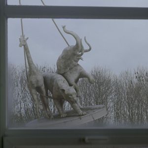 Foto Anadolu Leoparı