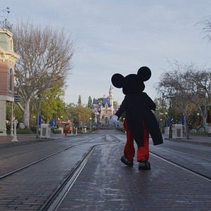 Foto Mickey: La historia de un ratón